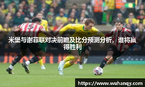 米堡与谢菲联对决前瞻及比分预测分析，谁将赢得胜利